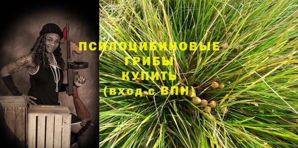 экстази Богородск