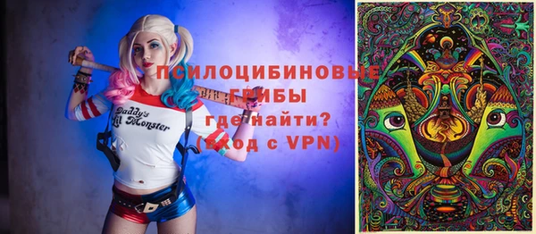 экстази Богородск