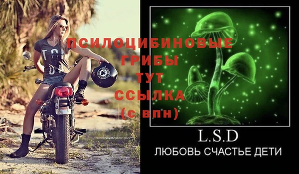 героин Богданович