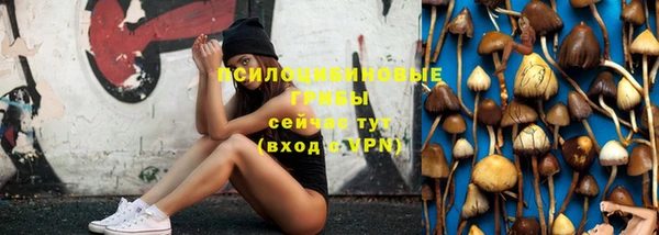 героин Богданович